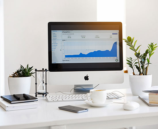 E-Commerce Platform Development